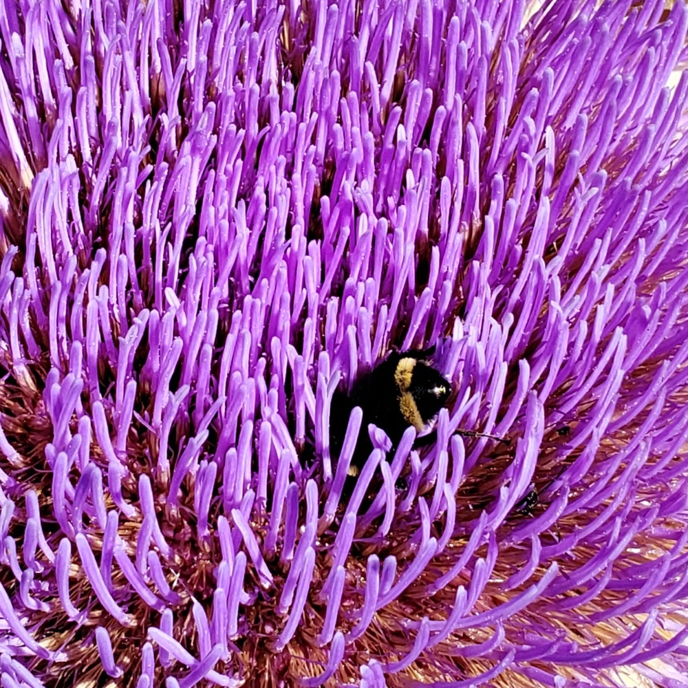 Meet your Posher, Beth